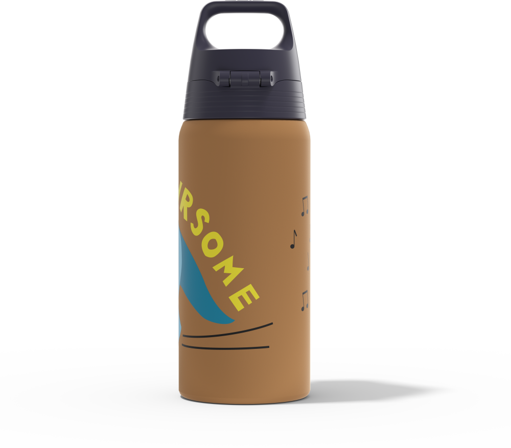 SIGG isolierte Trinkflasche Therm Shield One 500ml